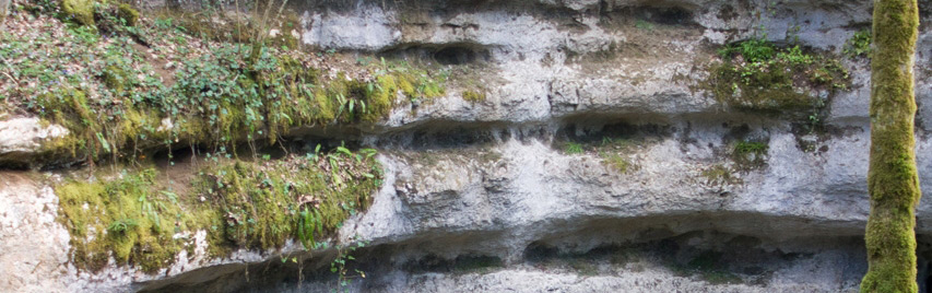 PANO-sentier-karstique