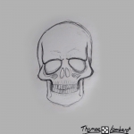 dessin pirate bdm live 2019 thomaslombard.com 01