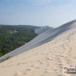 dune du pilat côté forêt