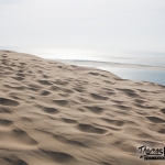 face au banc d'Arguin