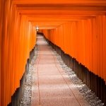 Kyoto Fushimi Inari 25082013-IMG_9361