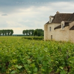 chateau-pommard