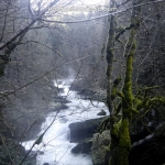 pertes-de-l'ain-jura