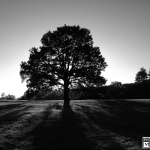 IMG_0695r