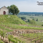 coteaux vignoble saint-émilion