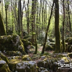 Sentier Karstique - Mérey sous Montrond