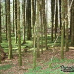 Sentier Karstique - Mérey sous Montrond