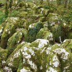 Sentier Karstique - Mérey sous Montrond
