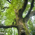 sentier de la Source du Lison